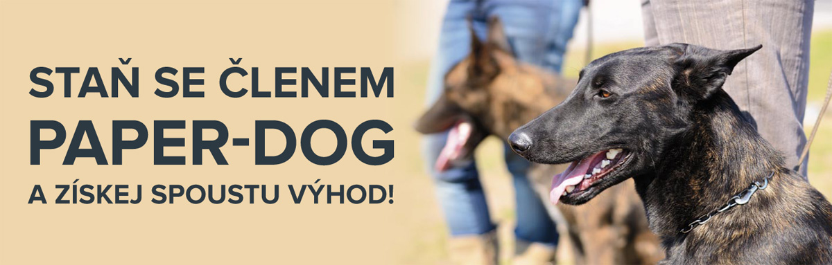 stan-se-clenem-paper-dog